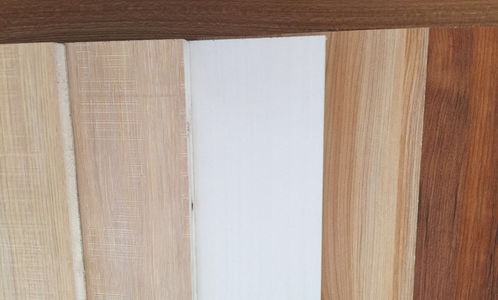 伟业生态板荣获2023生态板口碑十佳品牌荣誉,引领装饰材料新潮流